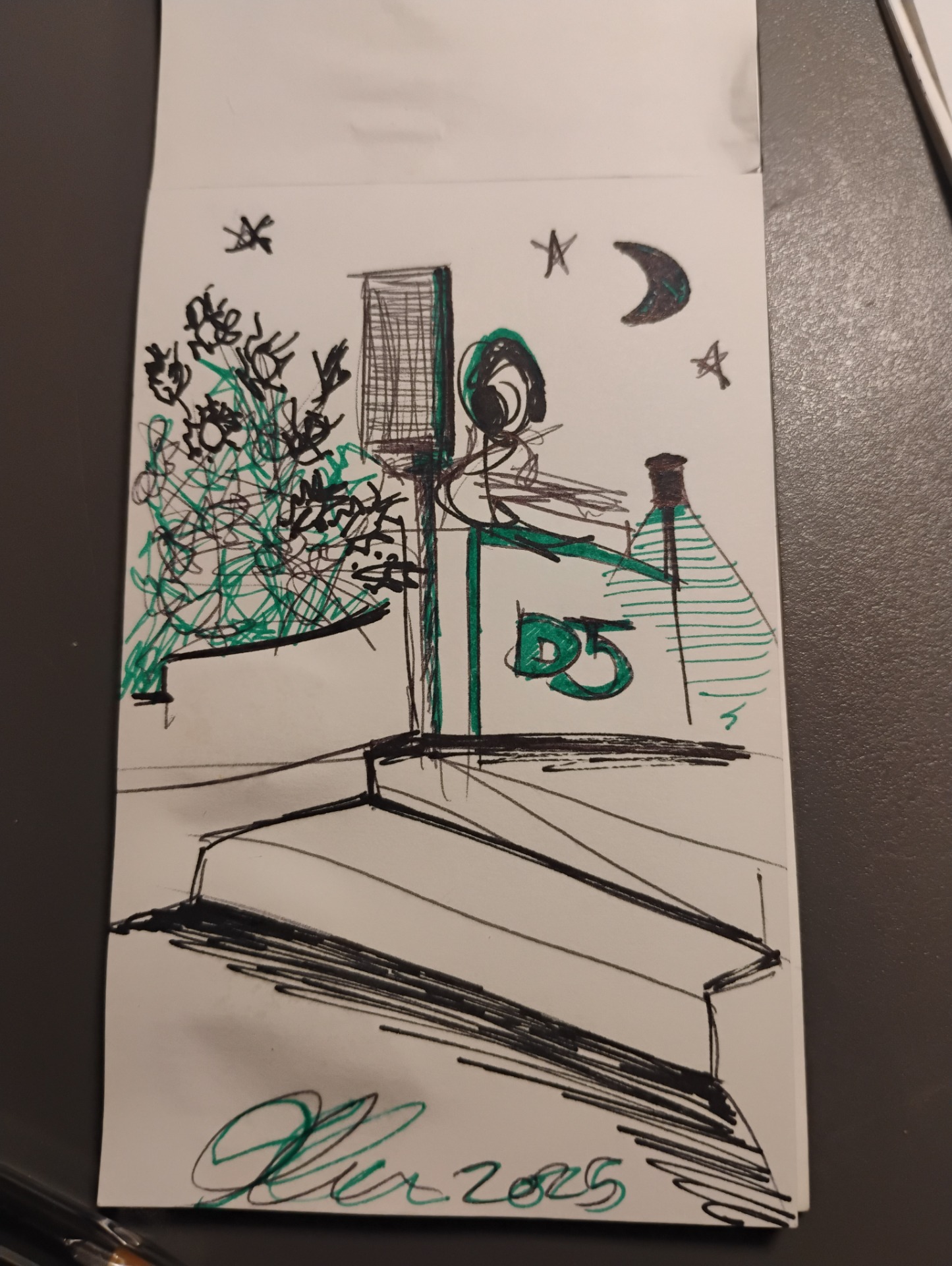 Penna nera verde, 100€